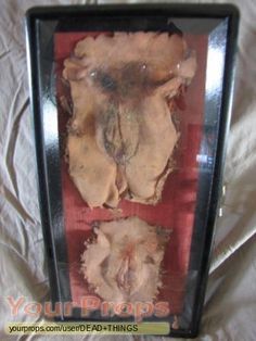 gein%20vulva.jpg