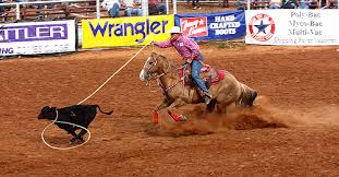 calf%20roping.jpg