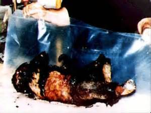 girl%20burned%20to%20death.jpg