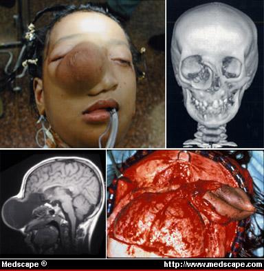 art-nf436107.fig2.jpg