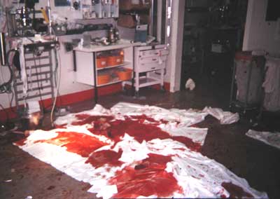 Bloodstained floor.jpg