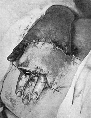 fig001.jpg