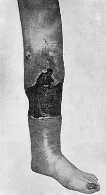 fig018.jpg