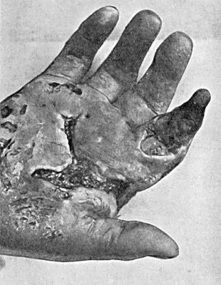 fig022.jpg