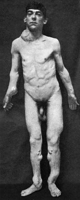 fig140.jpg