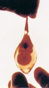 teardrop.jpg