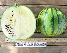watermelon.jpg
