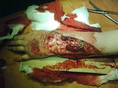 hand1.jpg