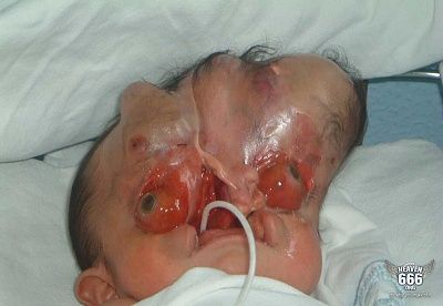 oh-baby-1.jpg