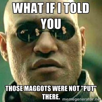 maggy.jpg