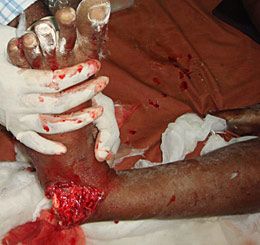 dr2.jpg
