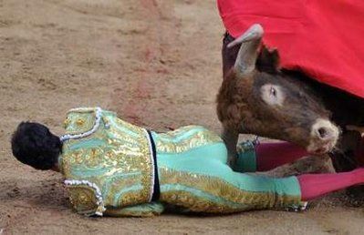 Name:  bullfighter.jpg
Views: 2415
Size:  24.2 KB