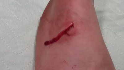 20170423_145932.jpg