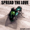 avatar_1326.gif