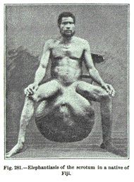 249abe020.jpg