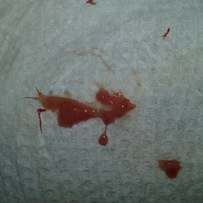 20181104_140502.jpg