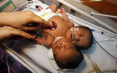 baby01.jpg