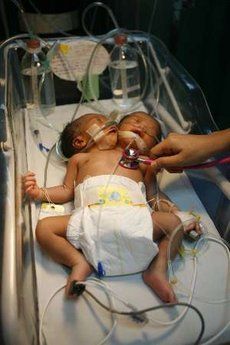 baby02.jpg