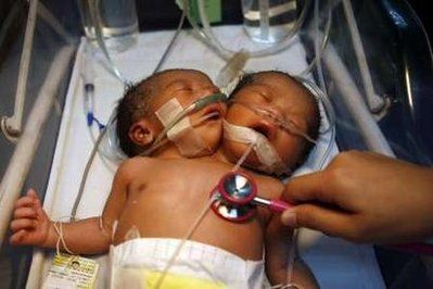 baby03.jpg