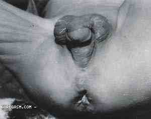GOREGASM-dot-com-clinical.jpg