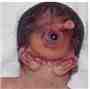 face.jpg
