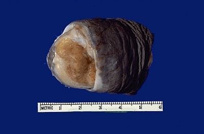 male079.jpg