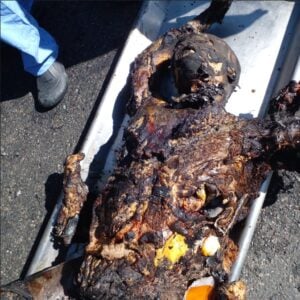 Name:  8-300x300.jpg
Views: 476
Size:  26.4 KB