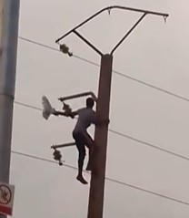 bird2.jpg