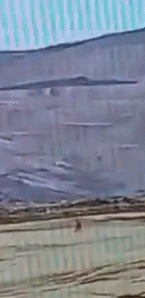 lightning.gif
