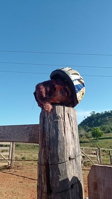 photo_2023-06-27_20-42-54.jpg