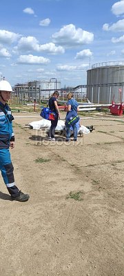 workers_3.jpg