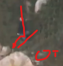 jump3.png