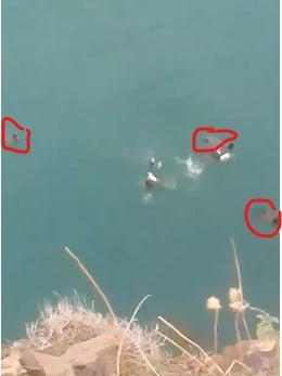 3indians.jpg