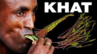 IMG_0291.jpeg