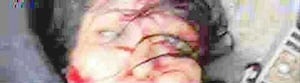 Name:  Victim.jpg
Views: 48
Size:  5.8 KB