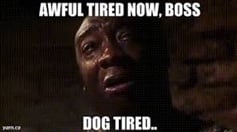 Name:  0awfultired.jpg
Views: 39
Size:  5.7 KB