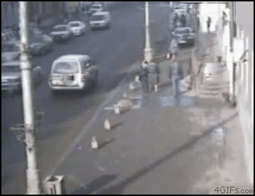 Pedestrians_interrupted.gif