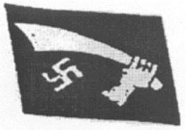 Islamic Nazis 01.jpg