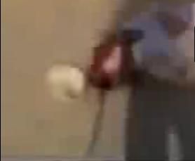 1WhatHat.jpg