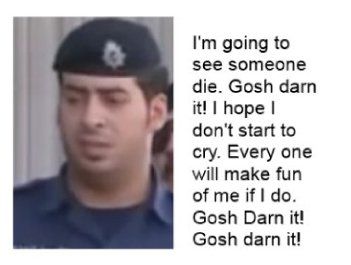 screen cap4.jpg