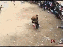 bullied.gif