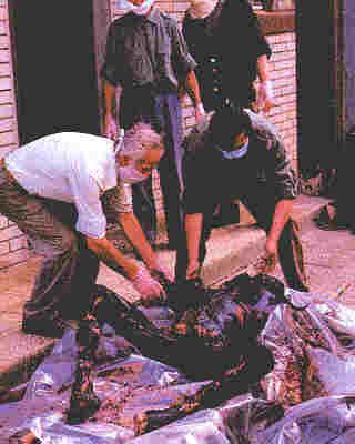 bosnia29.jpg