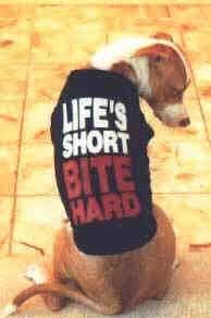 lifes_short_-_bite_hard.jpg