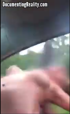 pole.png