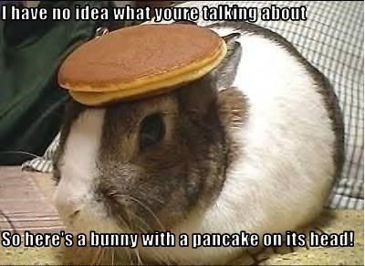 Bunny%2001.jpeg