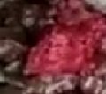 Name:  Smiley.jpg
Views: 1157
Size:  3.1 KB