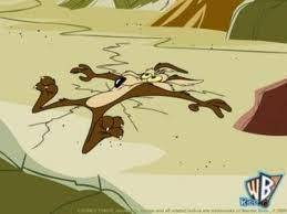 wile%20e%20coyote.jpg