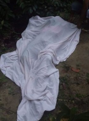 Name:  10.jpg
Views: 317
Size:  18.4 KB