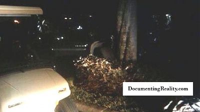 tiger-woods-crash-pictures-1-.jpg