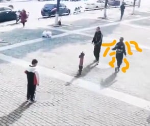 shimmy.jpg